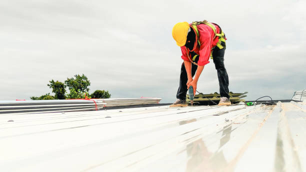 Best Skylights  in Crandon, WI