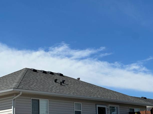 Best Metal Roofing Installation  in Crandon, WI